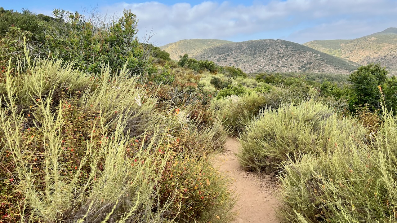 Trail View