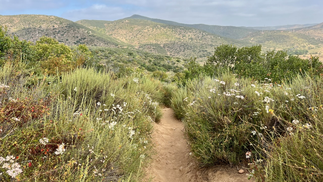 Trail View