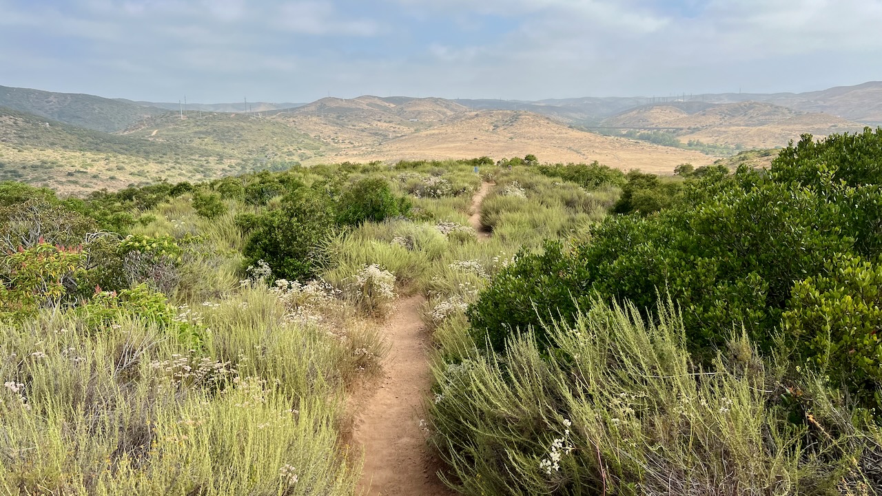 Trail View