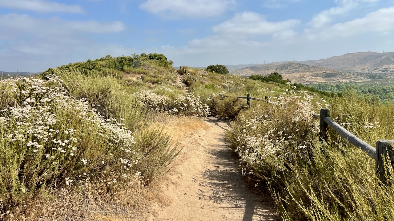 Trail View