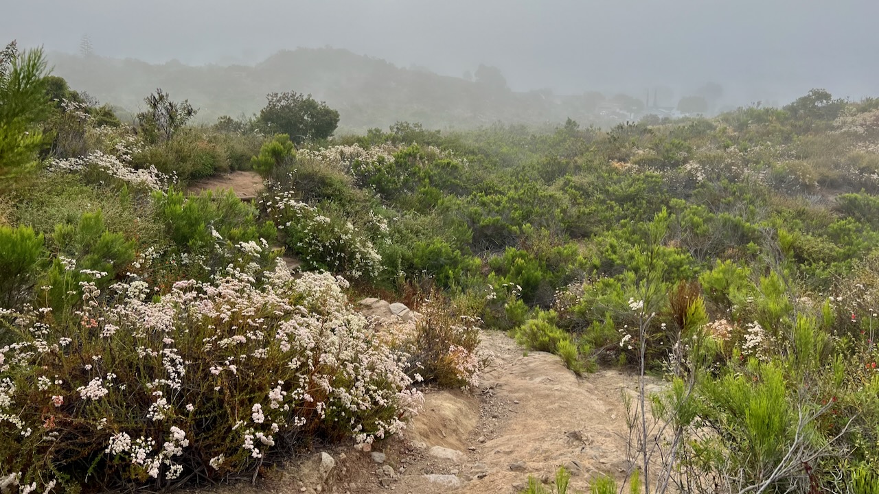 Trail View