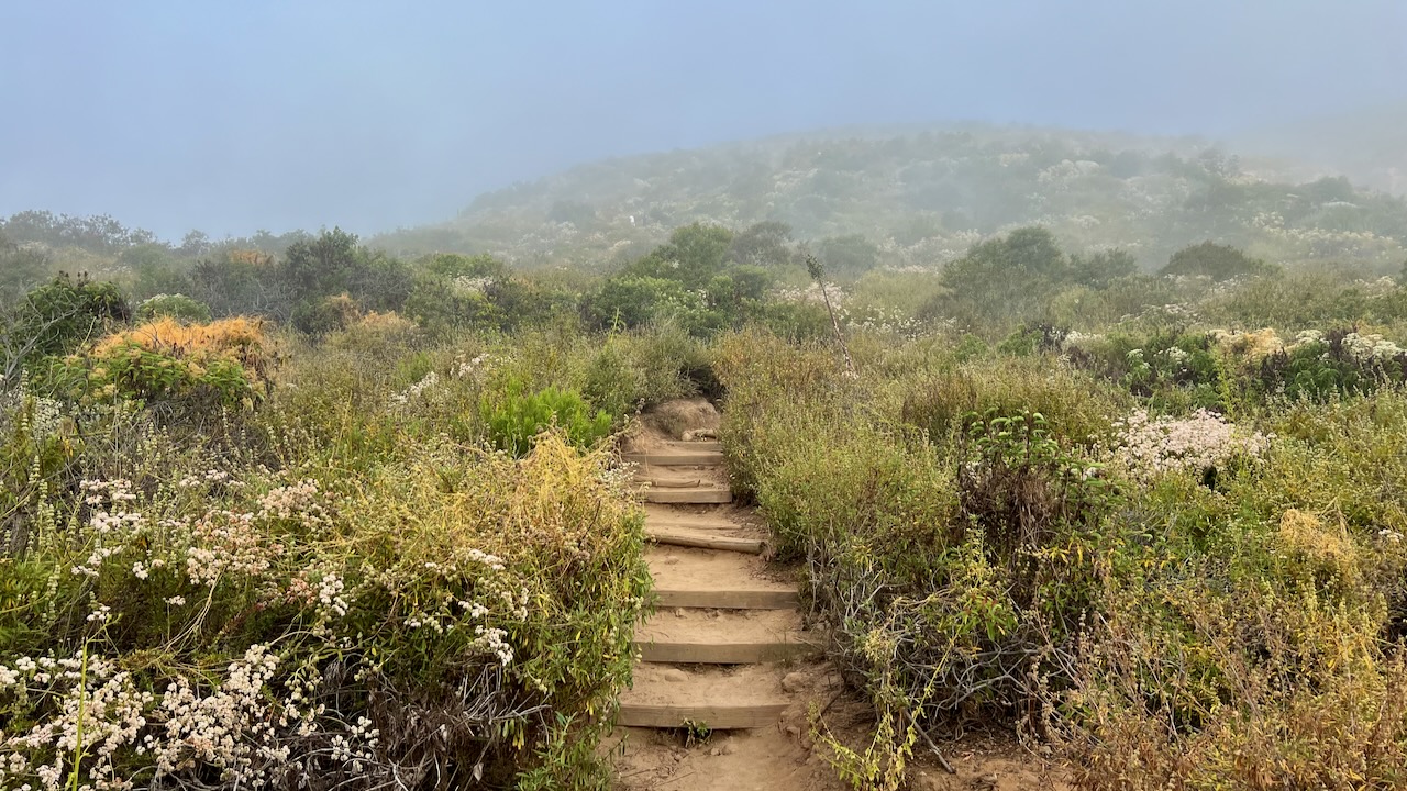 Trail View