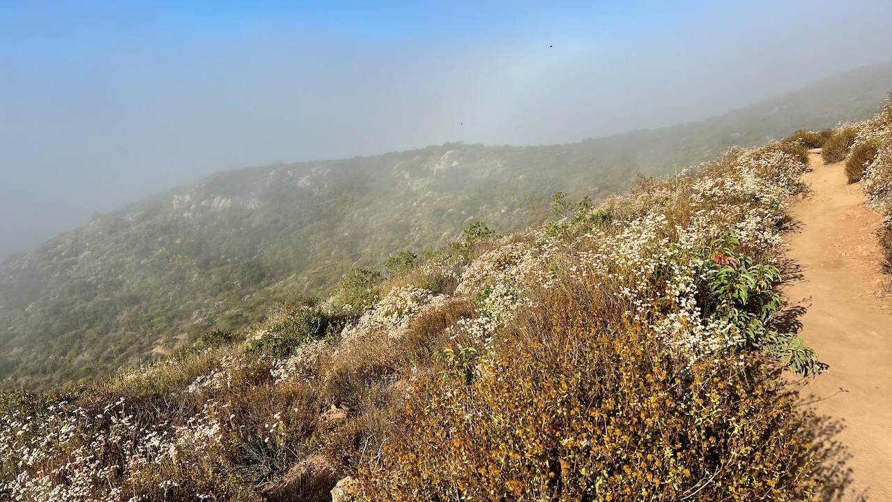 Trail View