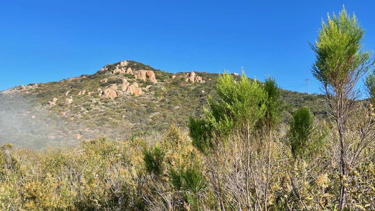 Cowles Mountain