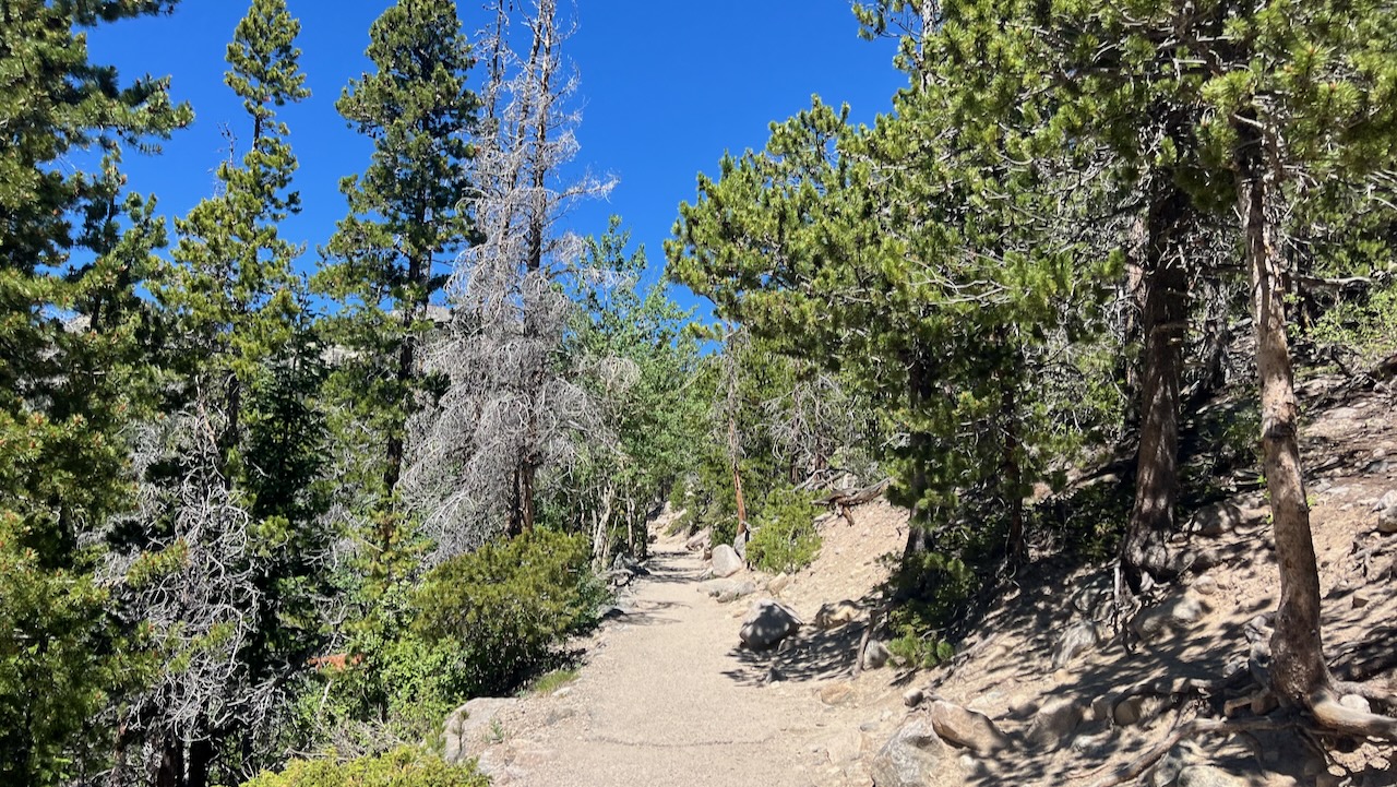 Trail View