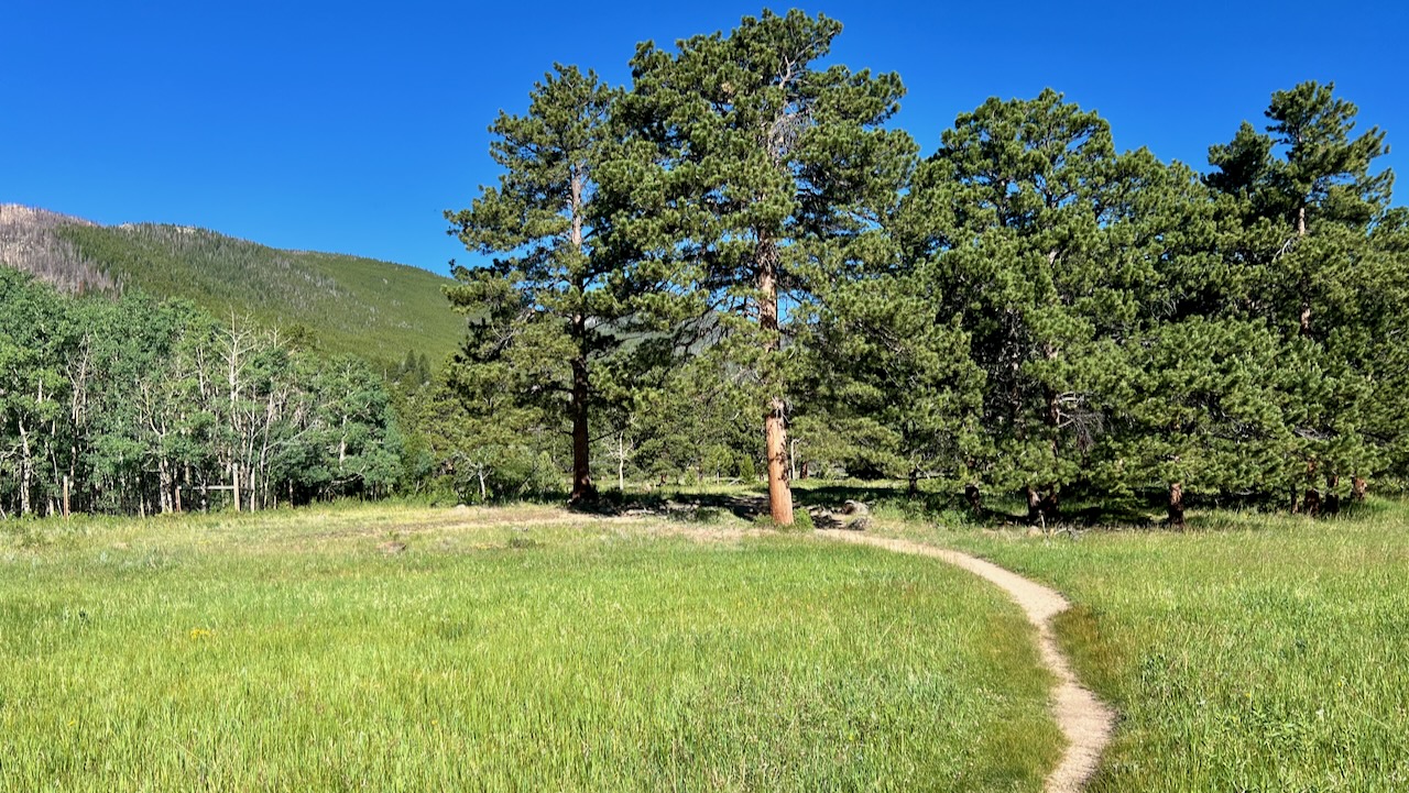 Trail View