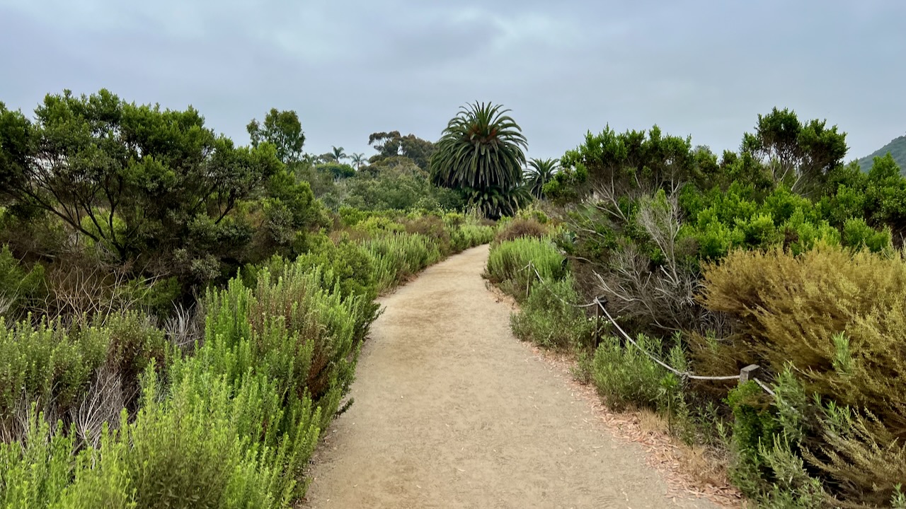 Trail View