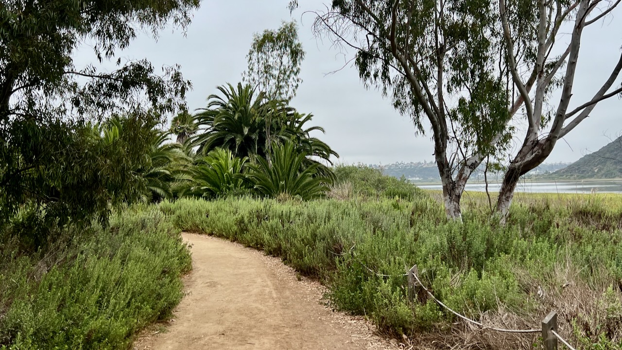 Trail View