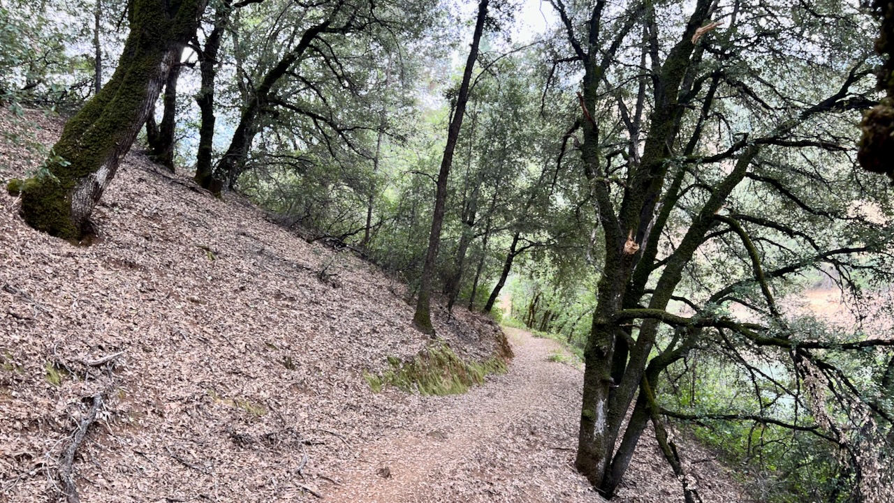 Trail View