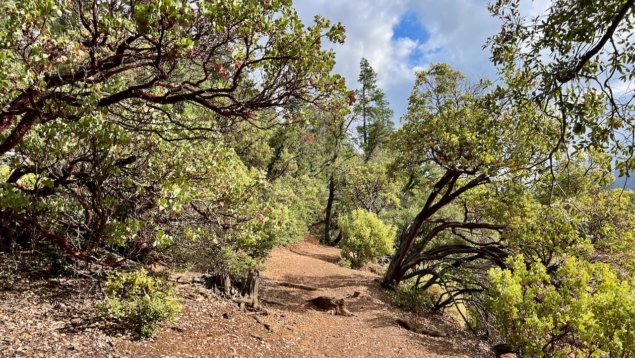 Trail View