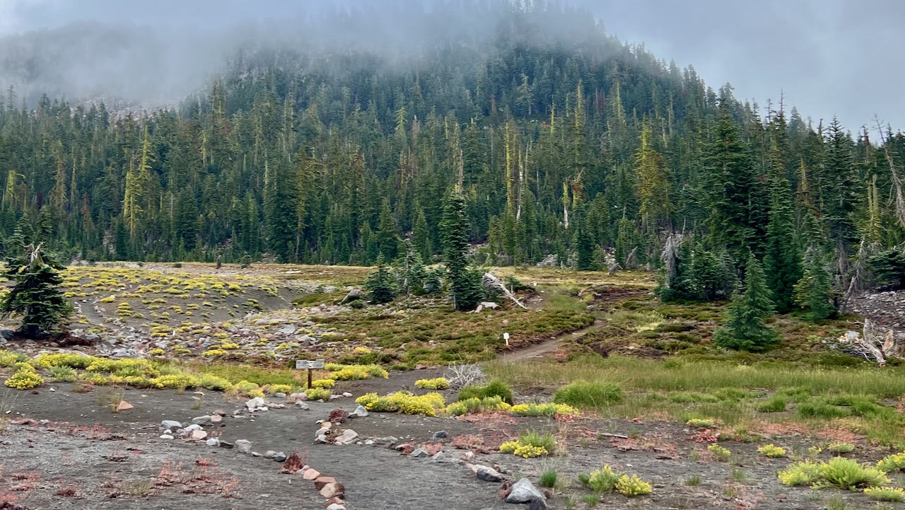 Trail View