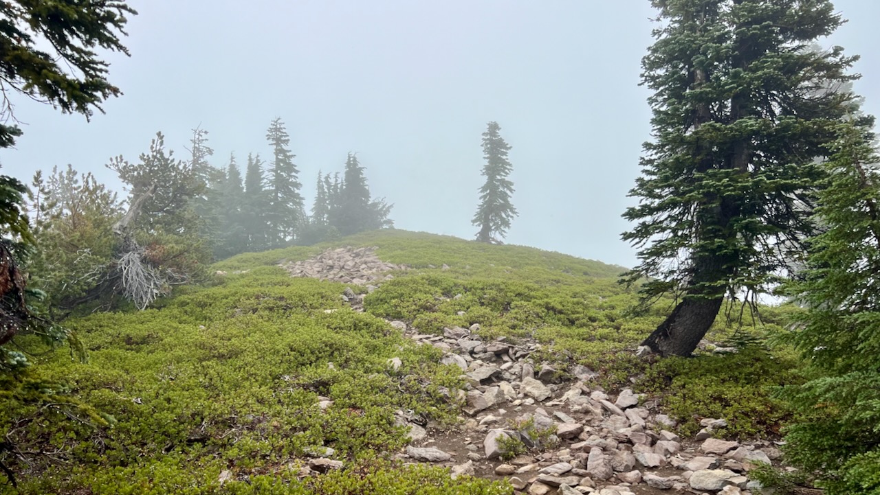 Trail View