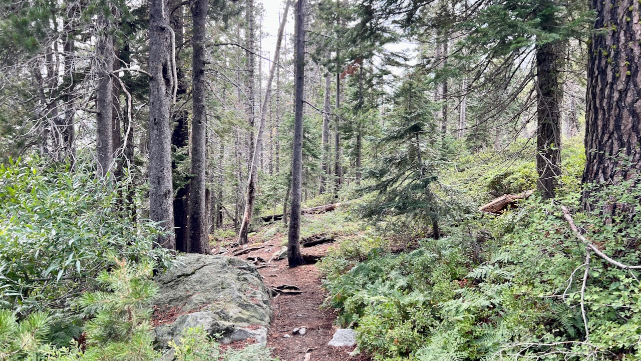 Trail View