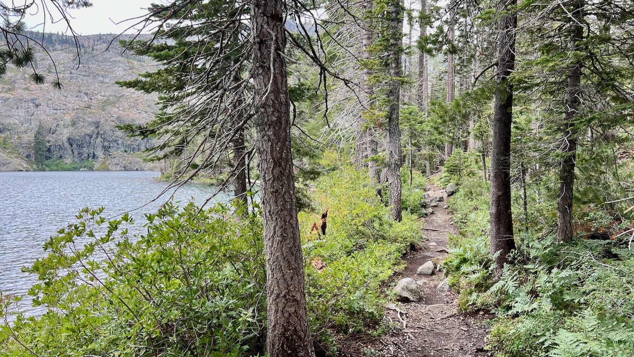 Trail View