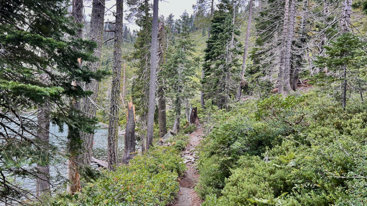 Trail View