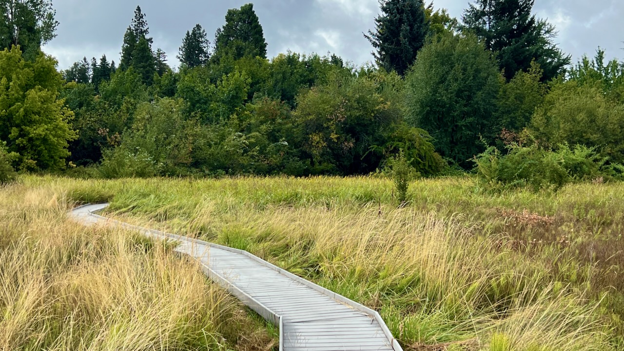 Trail View