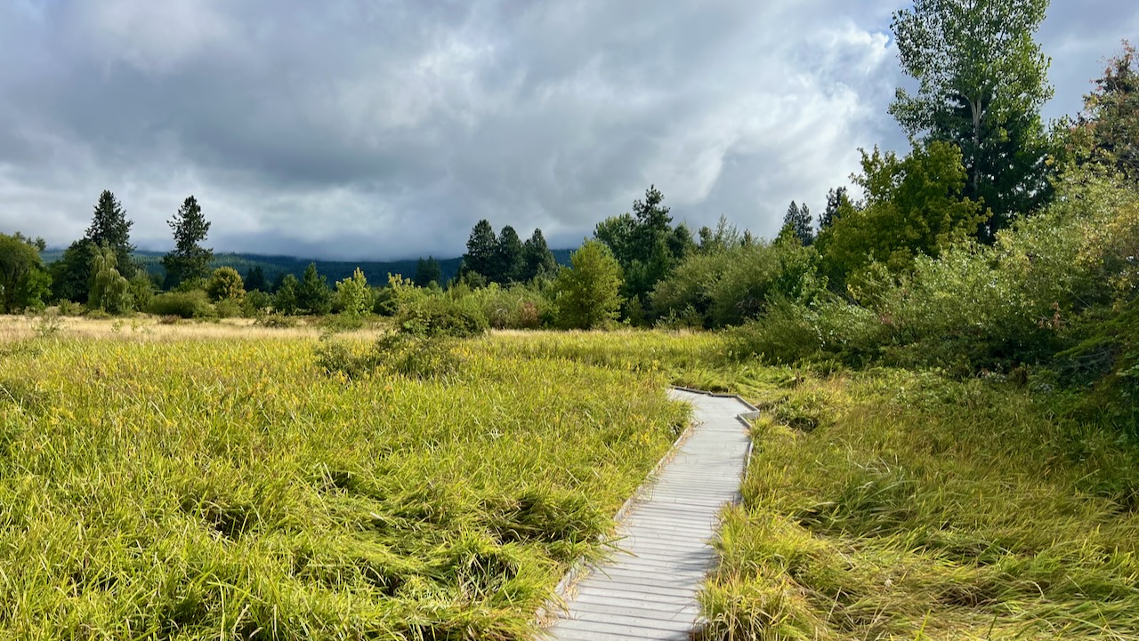 Trail View