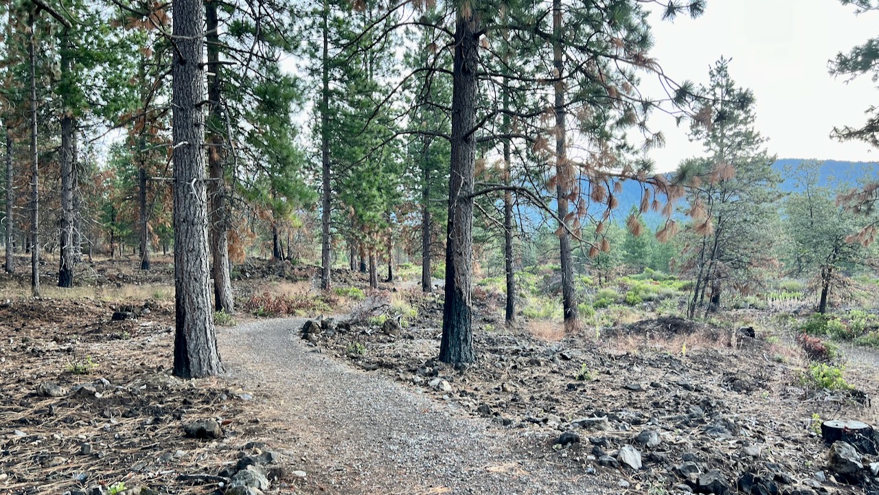 Trail View