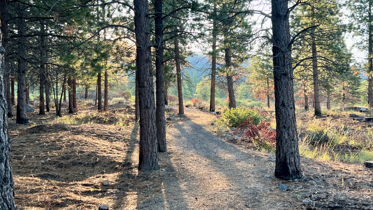 Trail View