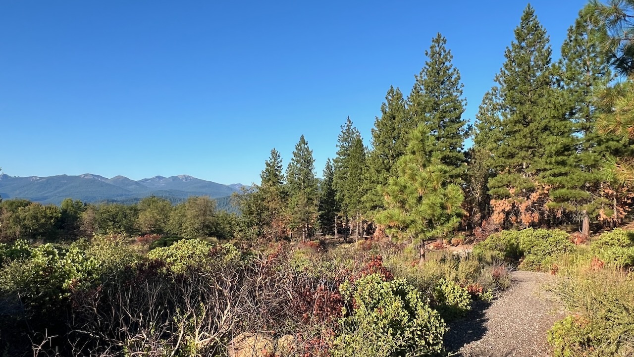 Trail View