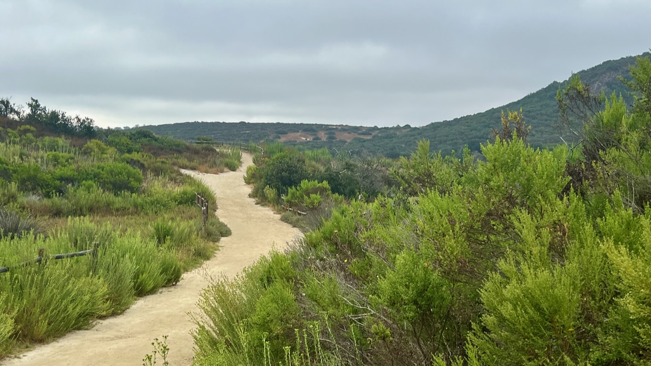 Trail View