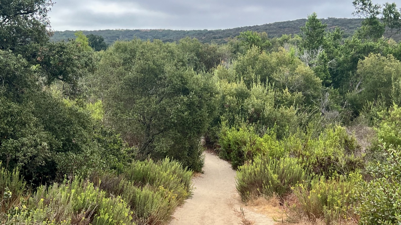 Trail View