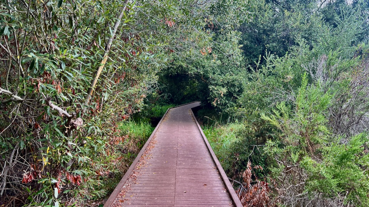 Trail View