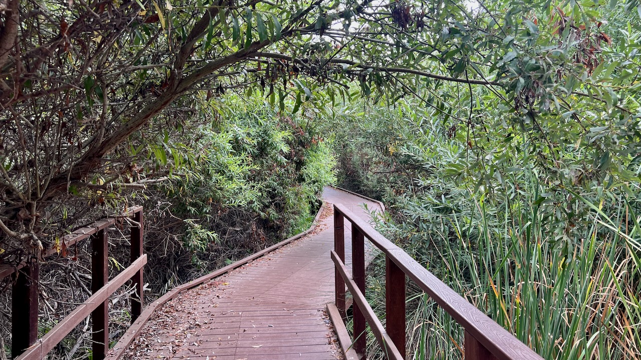 Trail View