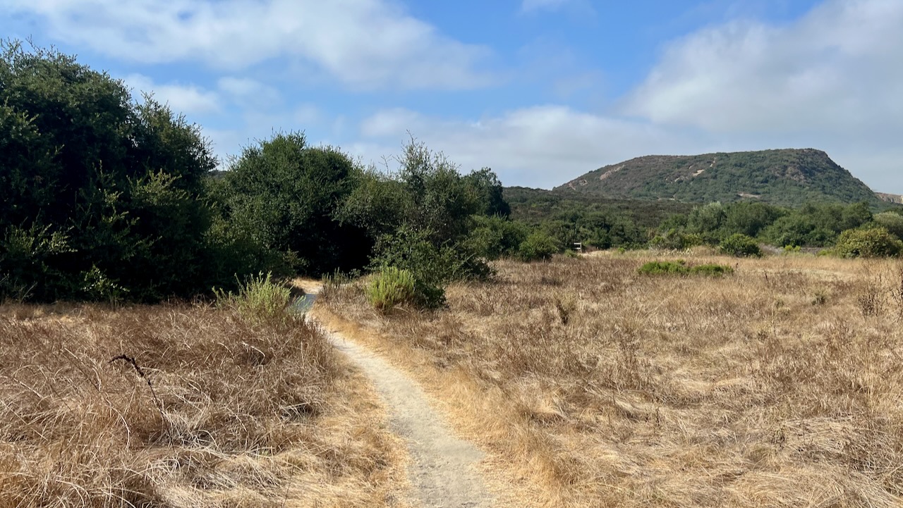 Trail View