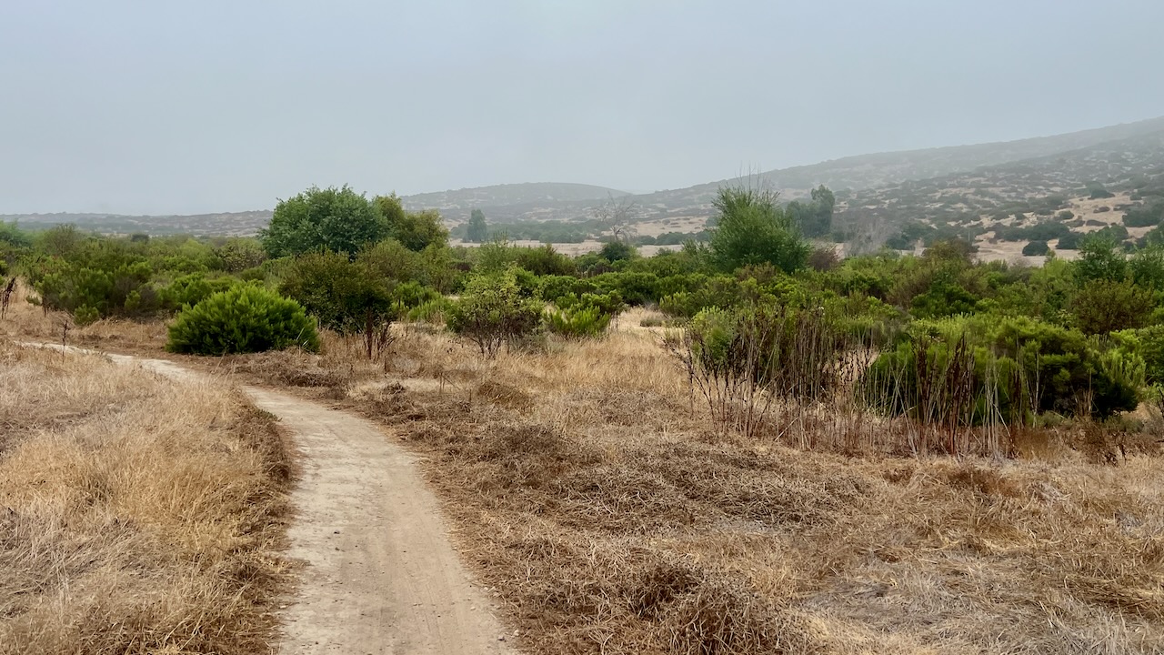 Trail View