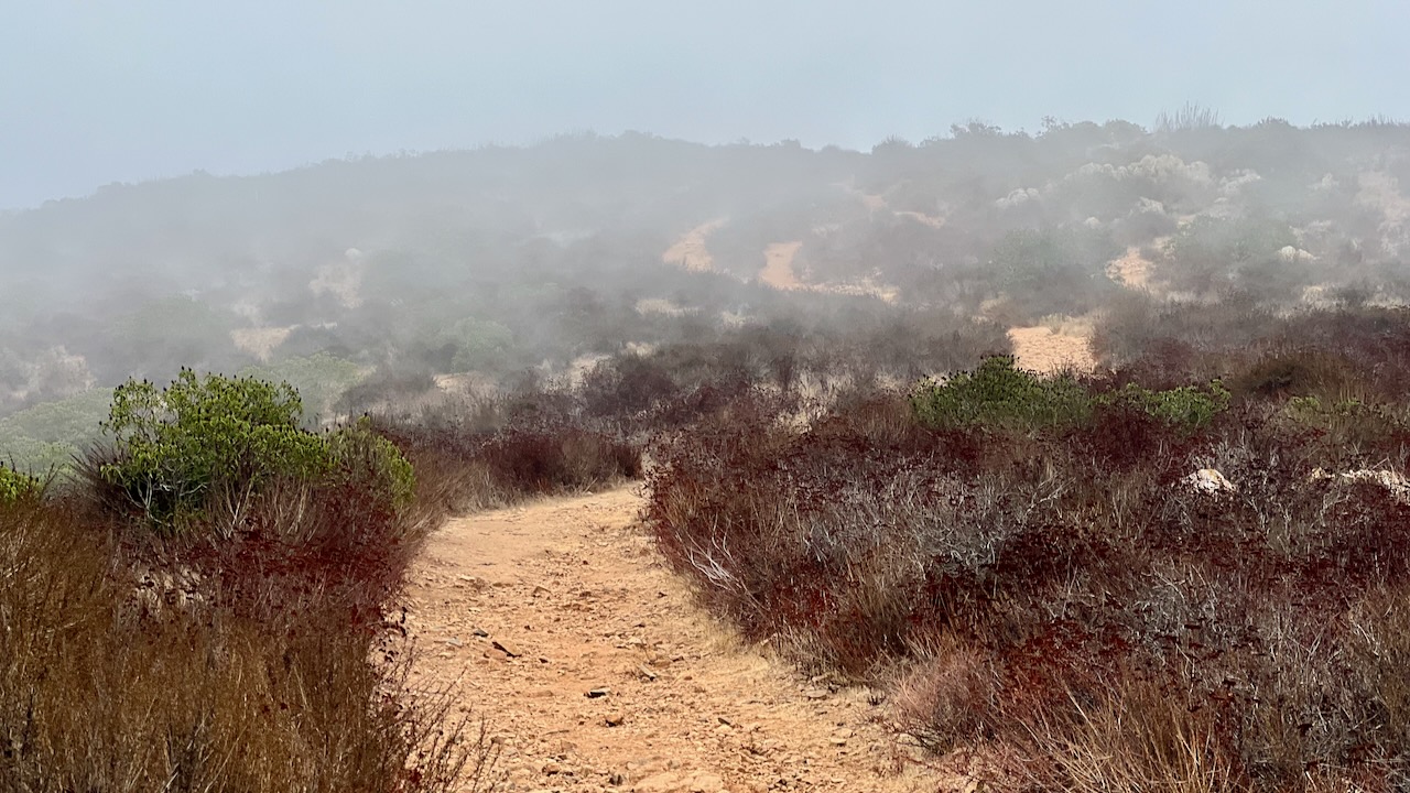 Trail View