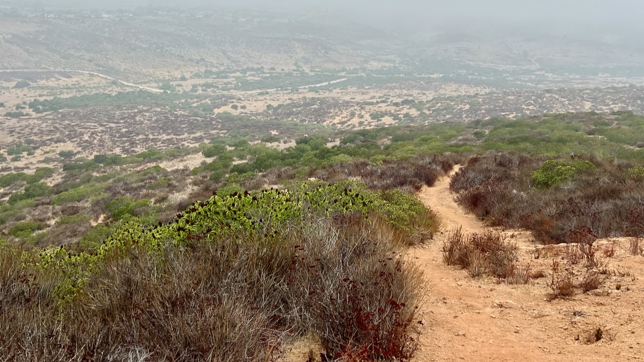 Trail View