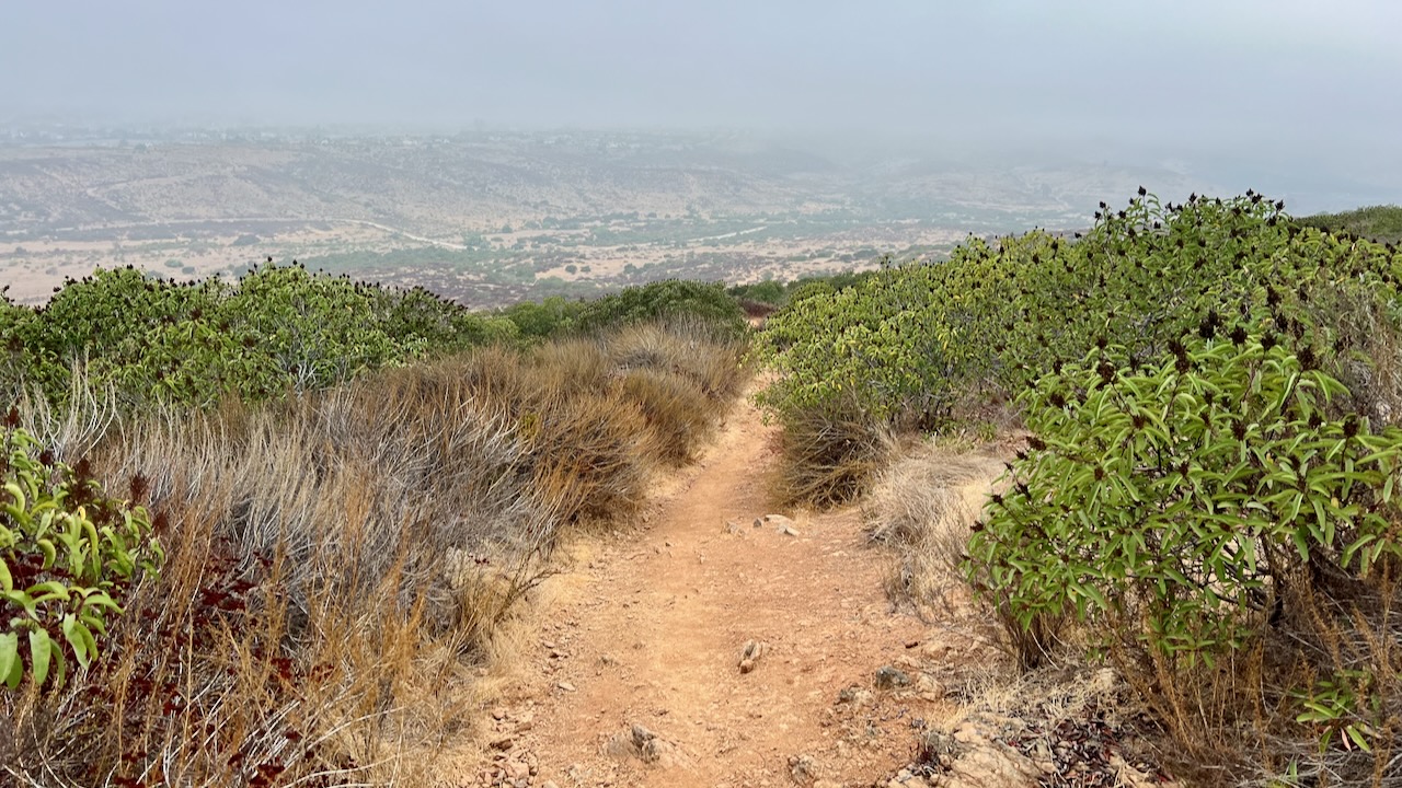 Trail View