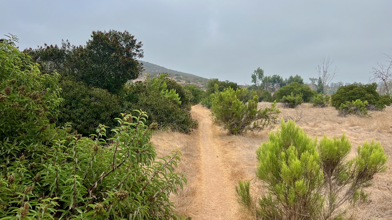 Trail View