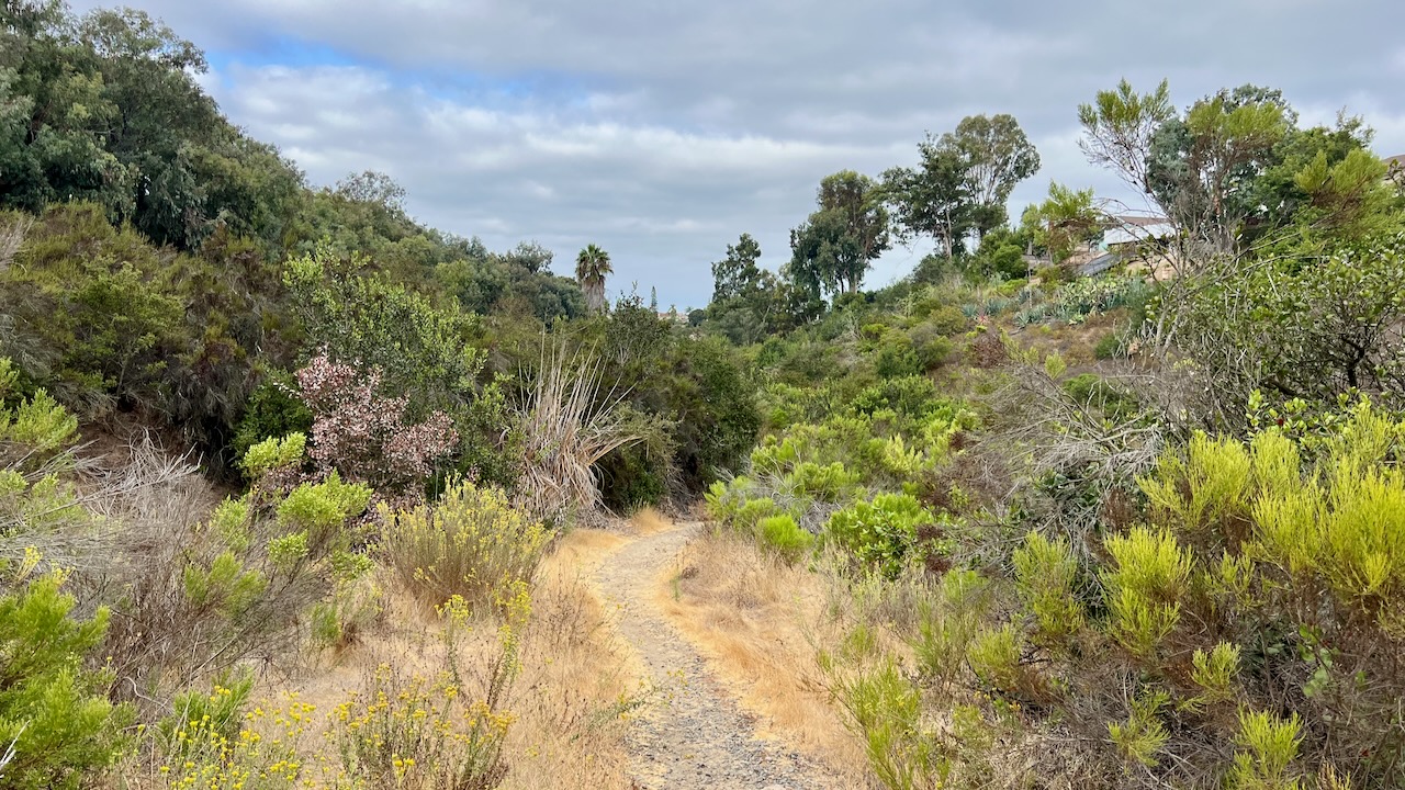 Trail View