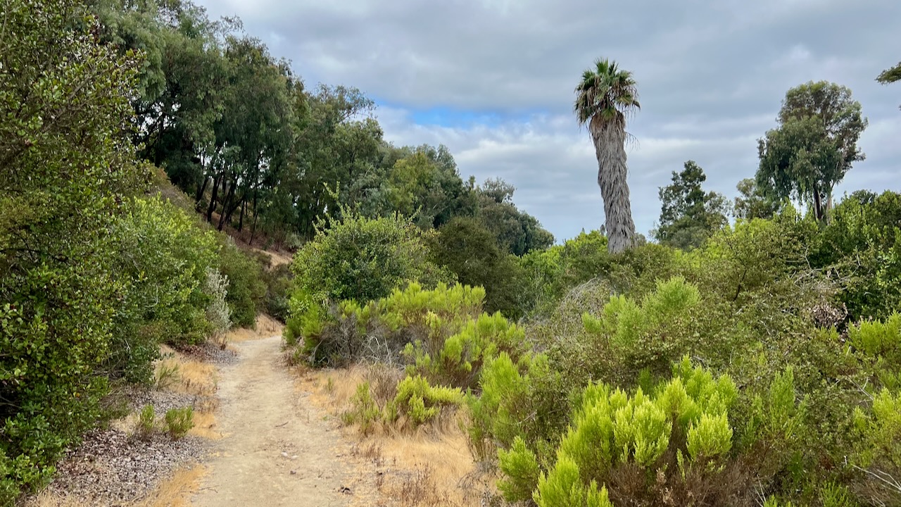 Trail View