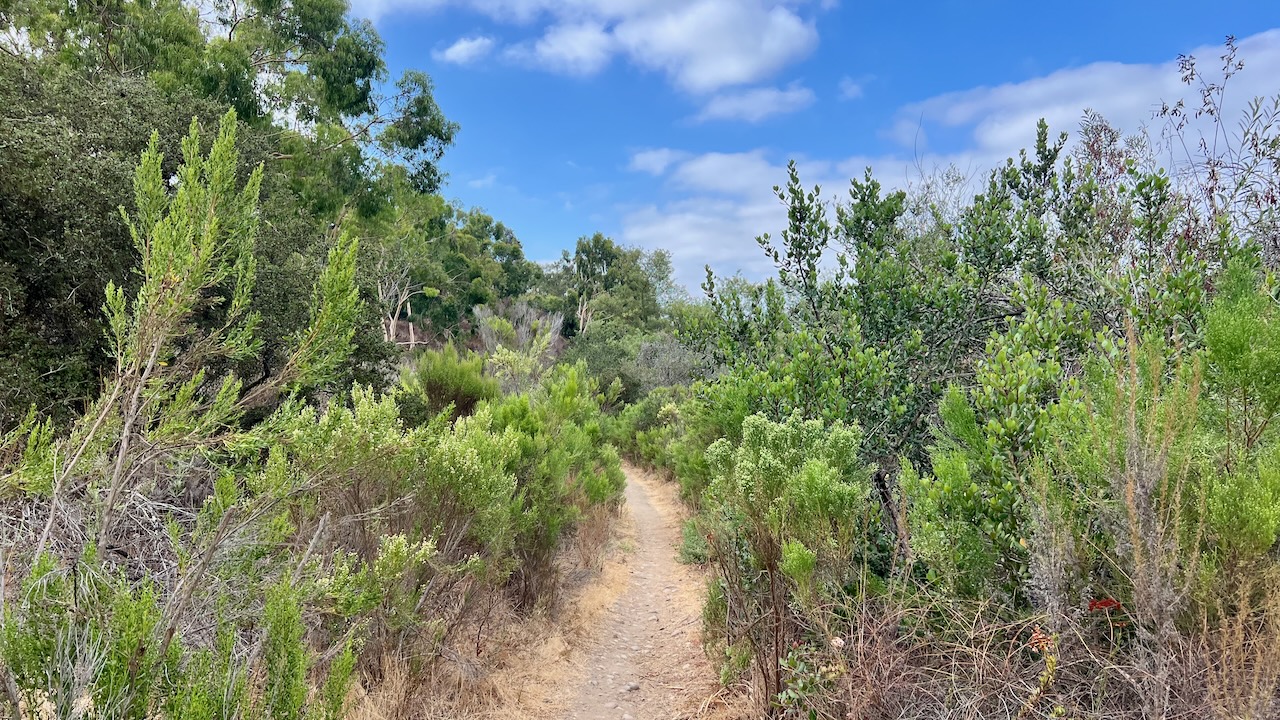 Trail View