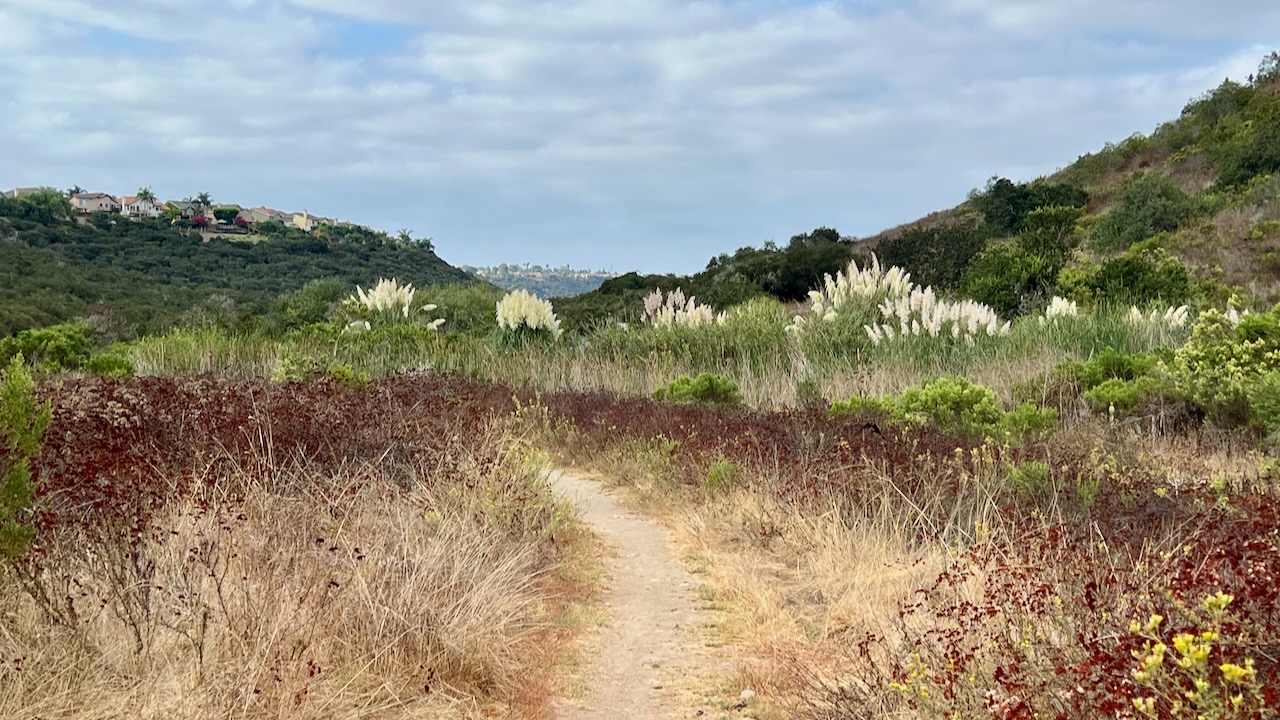 Trail View