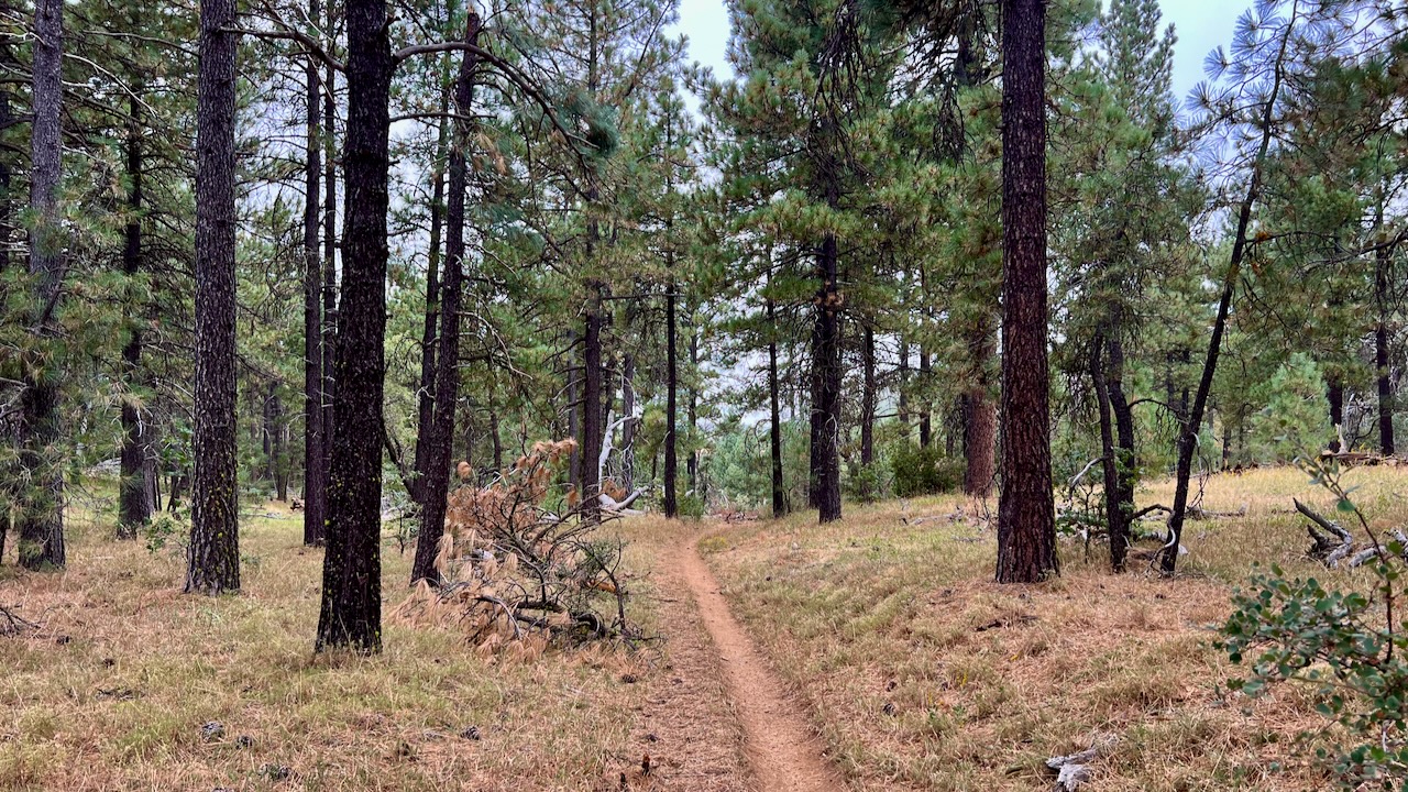 Trail View