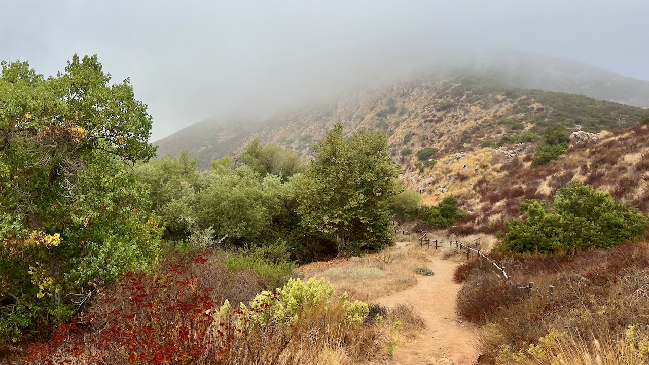 Trail View