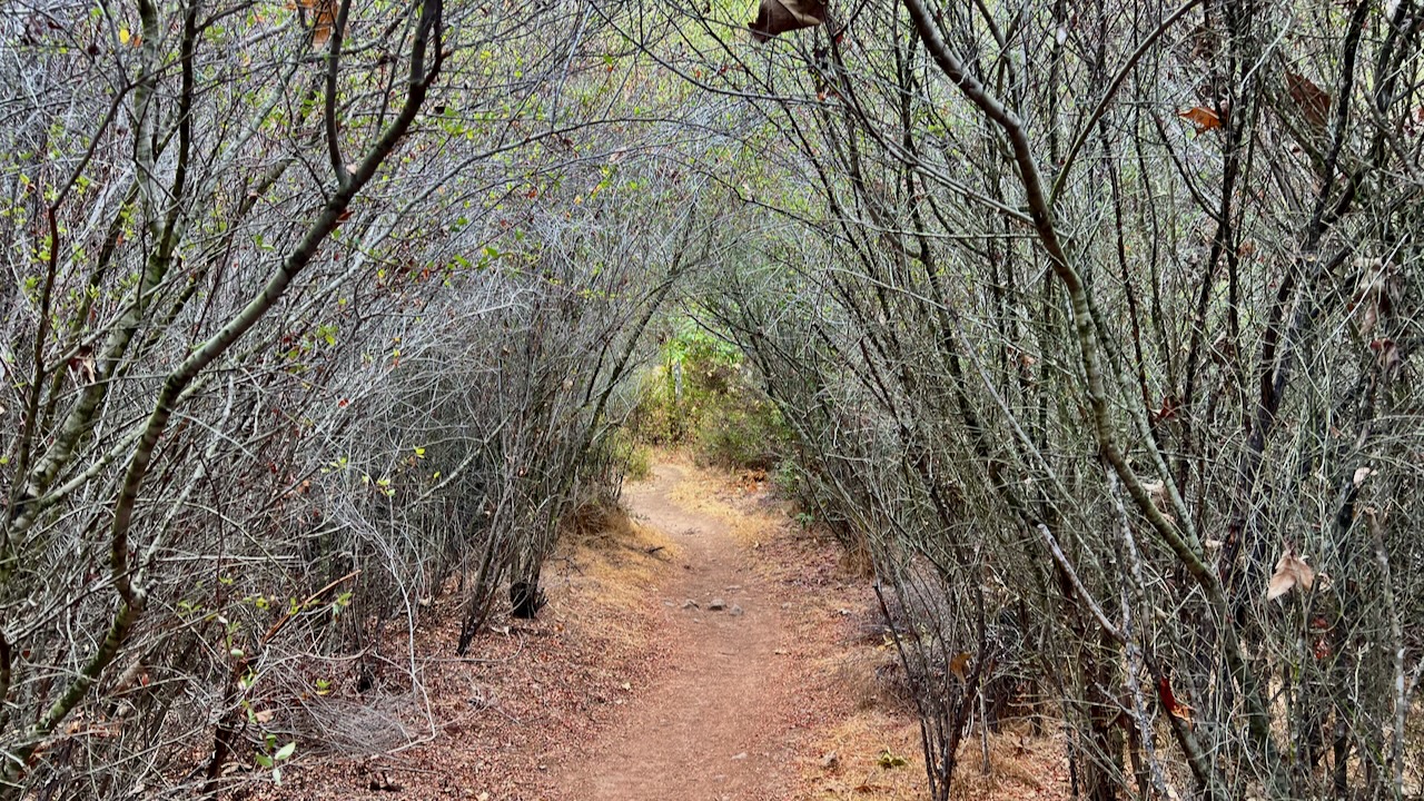 Trail View