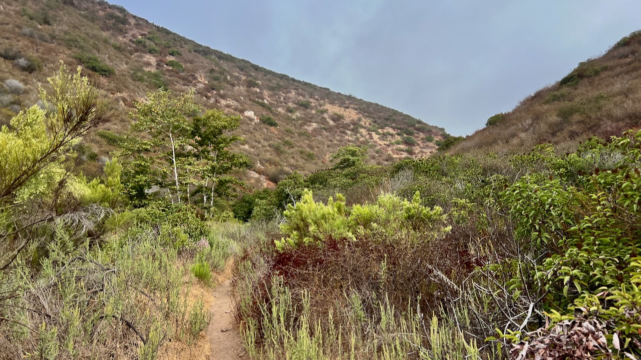 Trail View