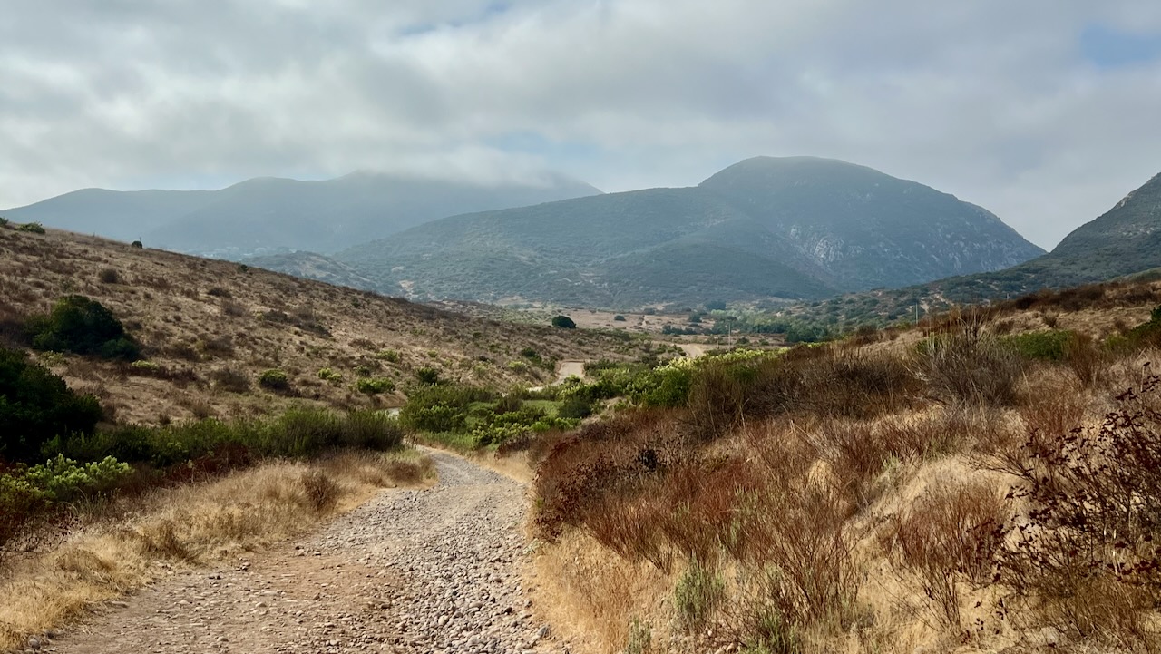 Trail View