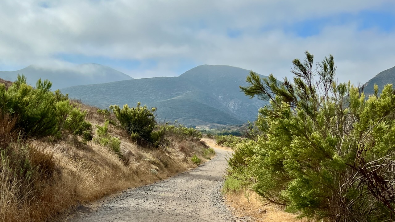 Trail View