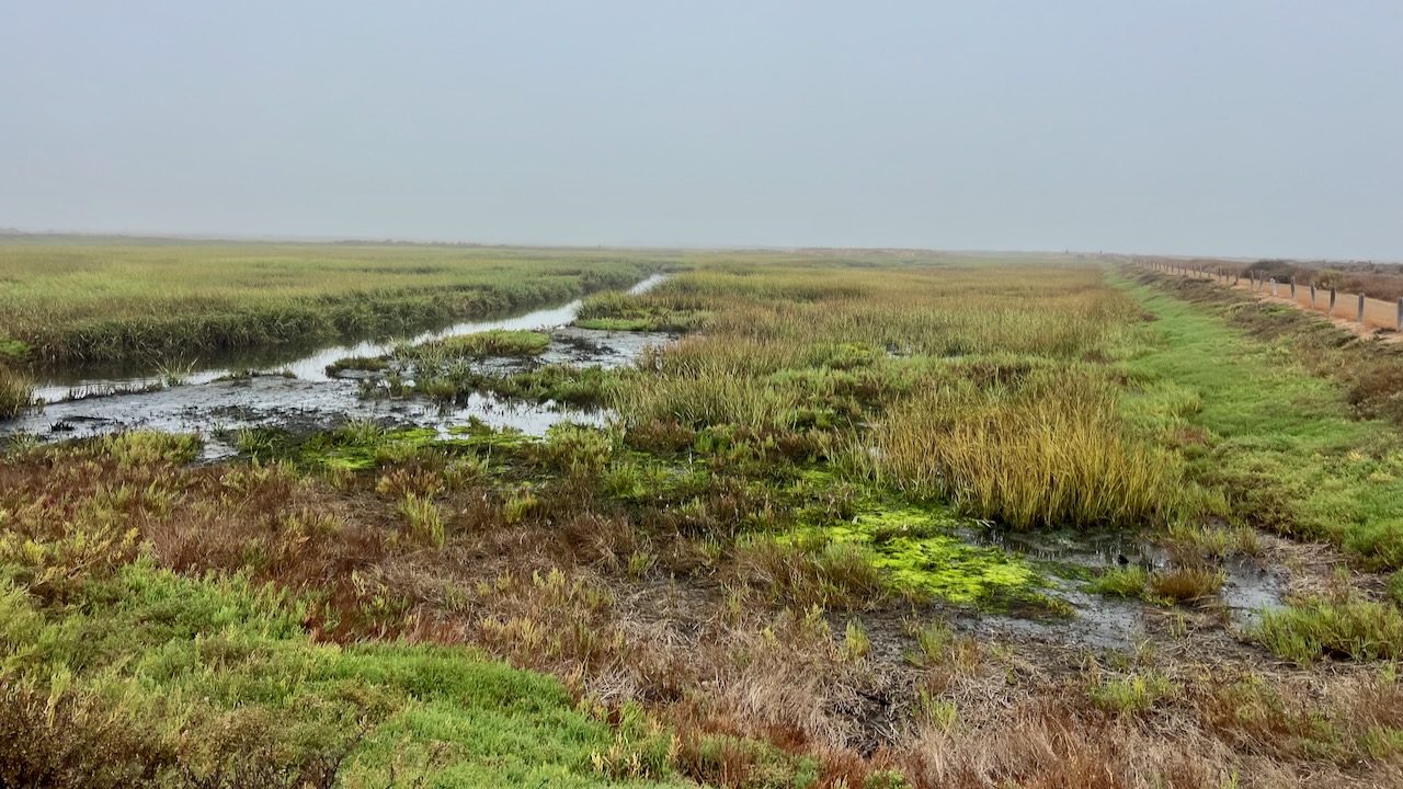 Trail View