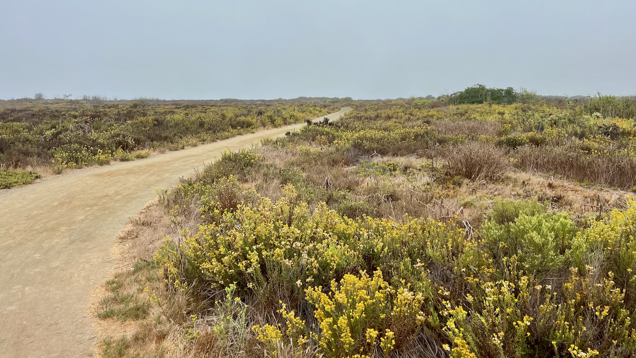 Trail View