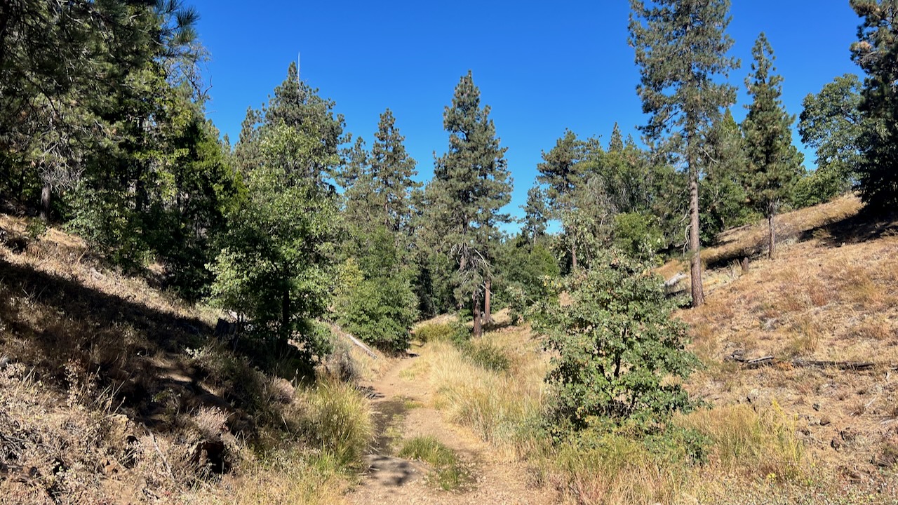 Trail View