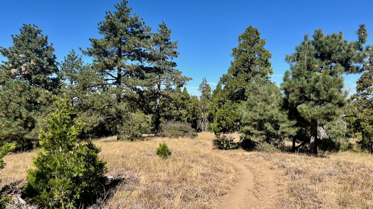 Trail View