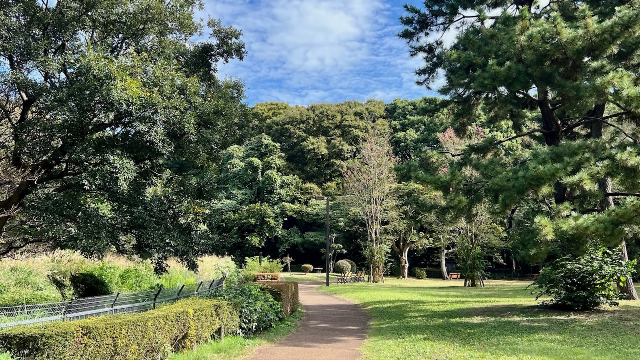 Trail View