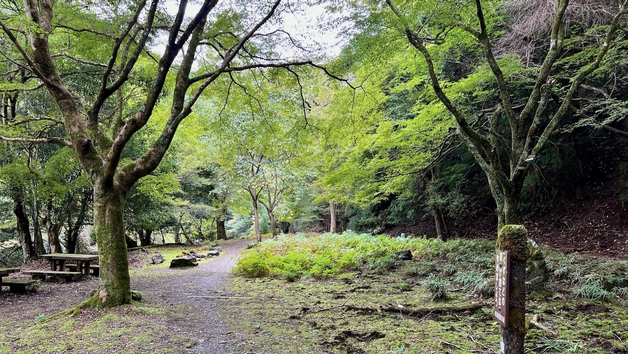 Trail View